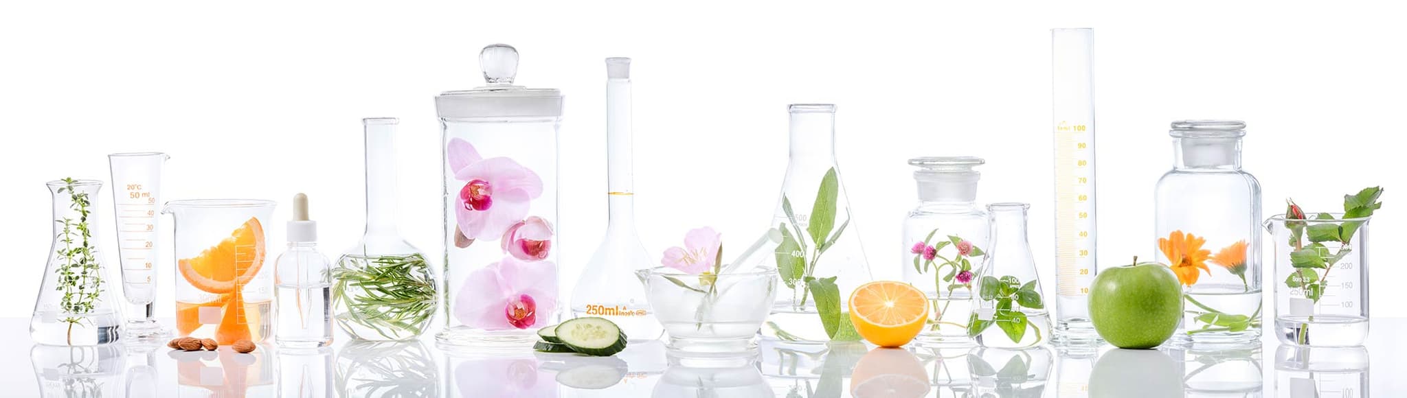 Herbář ingrediencí